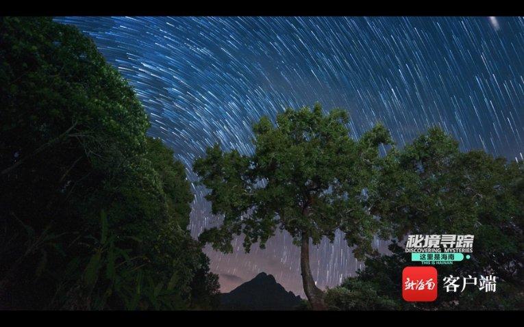 在闲鱼被骗5800该如何维权